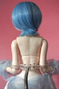 Image 5 of Flex Bust - Small