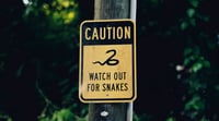 snake sign