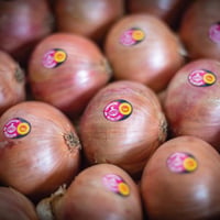 Image 1 of French P.D.O Roscoff Pink Onions Loose