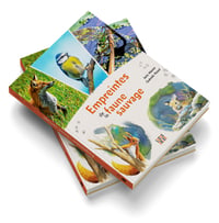 Image 1 of Empreintes de la faune sauvage