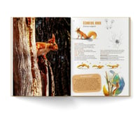 Image 3 of Empreintes de la faune sauvage
