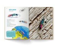 Image 4 of Empreintes de la faune sauvage
