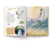 Image 5 of Empreintes de la faune sauvage