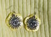 Image of Sunshine and flowers set