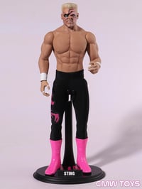 Image 2 of In Stock - 1:6 Scale Surfer Sting