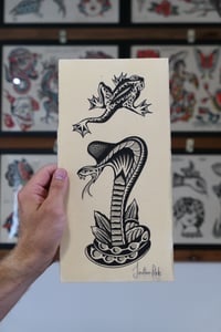 Frog & Snake