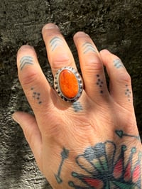 Image 6 of WL&A Old Style Aged Bronze & Sterling Silver High Grade Red Sponge Coral Signet - Size 11