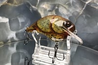 Image 6 of SCRANK 1.5 Crankbait  6177