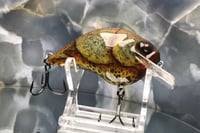 Image 8 of SCRANK 1.5 Crankbait  6177