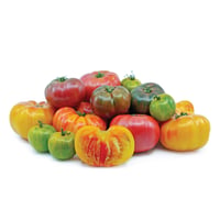 Image 2 of British Heirloom Variety Tomato Mix