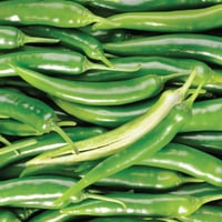 Image 1 of Spanish Green Cayenne Chillis
