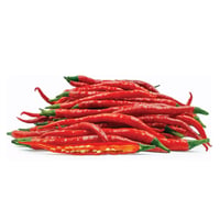 Image 2 of Spanish Red Cayenne Chillis