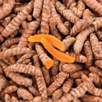 Image 1 of Peruvian Turmeric Root
