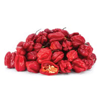 Image 3 of Spanish Red Habanero Chillis