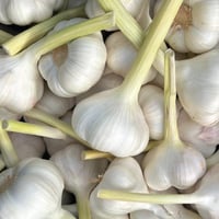Image 1 of Italian New Season Garlic Bulbs
