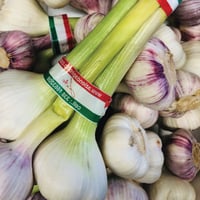 Image 2 of Italian New Season Garlic Bulbs
