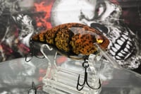 Image 5 of Squarebill LC 2.5 Crankbait  7393