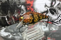 Image 6 of Squarebill LC 2.5 Crankbait  7393