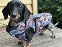 Image 2 of Waratah Raincoat 
