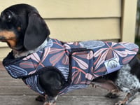 Image 3 of Waratah Raincoat 