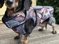 Image 4 of Waratah Raincoat 