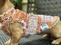 Image 2 of Puppy Coats (assorted designs)