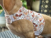 Image 1 of Hello Kitty Puppy Harness