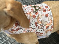 Image 2 of Hello Kitty Puppy Harness