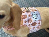 Image 2 of Boho Cord Puppy Harness