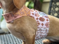 Image 1 of Boho Cord Puppy Harness