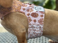 Image 3 of Boho Cord Puppy Harness