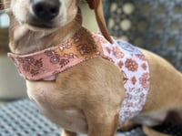 Image 6 of Boho Cord Puppy Harness