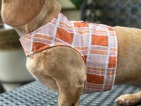 Image 1 of Retro Orange Puppy Harness
