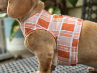 Image 3 of Retro Orange Puppy Harness