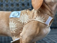 Image 1 of The Sun Puppy Harness