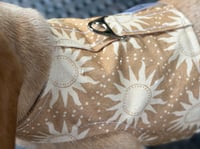 Image 2 of The Sun Puppy Harness