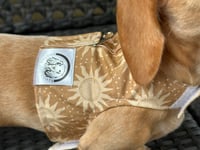 Image 3 of The Sun Puppy Harness