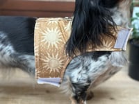 Image 1 of The Sun Adult Harness