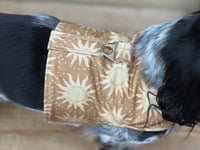Image 2 of The Sun Adult Harness