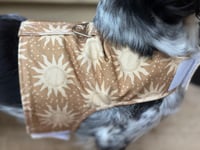 Image 3 of The Sun Adult Harness