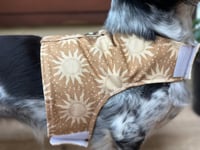 Image 4 of The Sun Adult Harness
