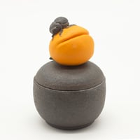 Image 4 of Apricot Beetle Trinket Box