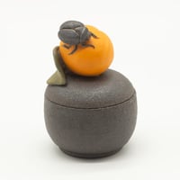 Image 1 of Apricot Beetle Trinket Box