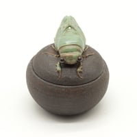 Image 4 of Cicada Trinket Box