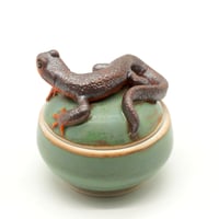 Image 3 of Newt Trinket Box