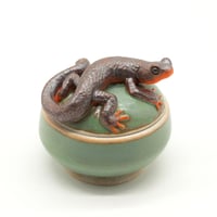 Image 1 of Newt Trinket Box