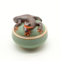 Image 2 of Newt Trinket Box