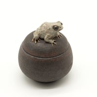 Image 1 of Toad Trinket Box 2