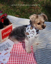Image 2 of BANDANA | American Summer
