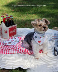 Image 2 of BANDANA| American Summer